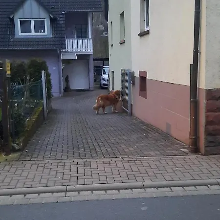 Сasa de vacaciones Main Zu Hause *